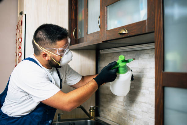Best Residential Pest Control  in St Stephen, SC