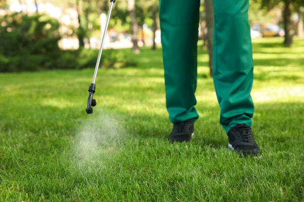 Best Local Pest Control Services  in St Stephen, SC