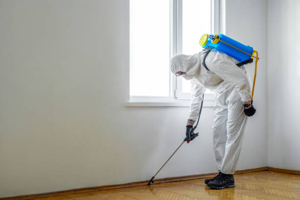 Best Pest Inspection Near Me  in St Stephen, SC