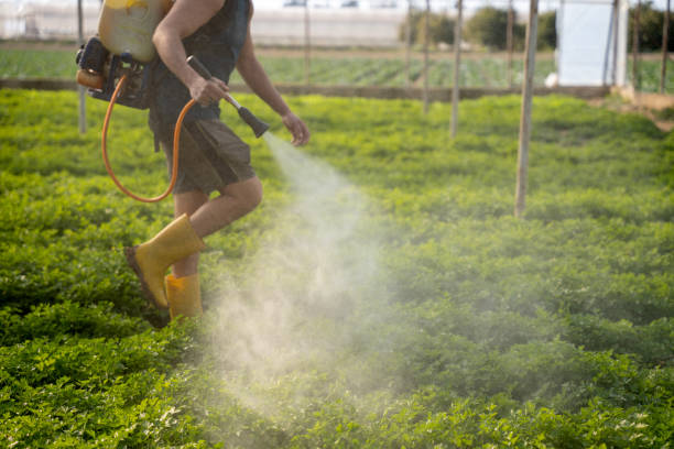 Best Affordable Pest Control Services  in St Stephen, SC