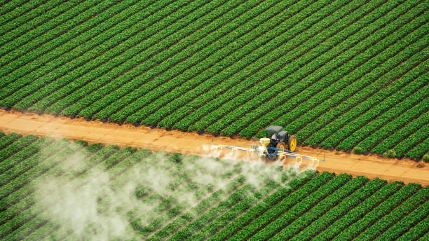 Professional Pest Control in St Stephen, SC